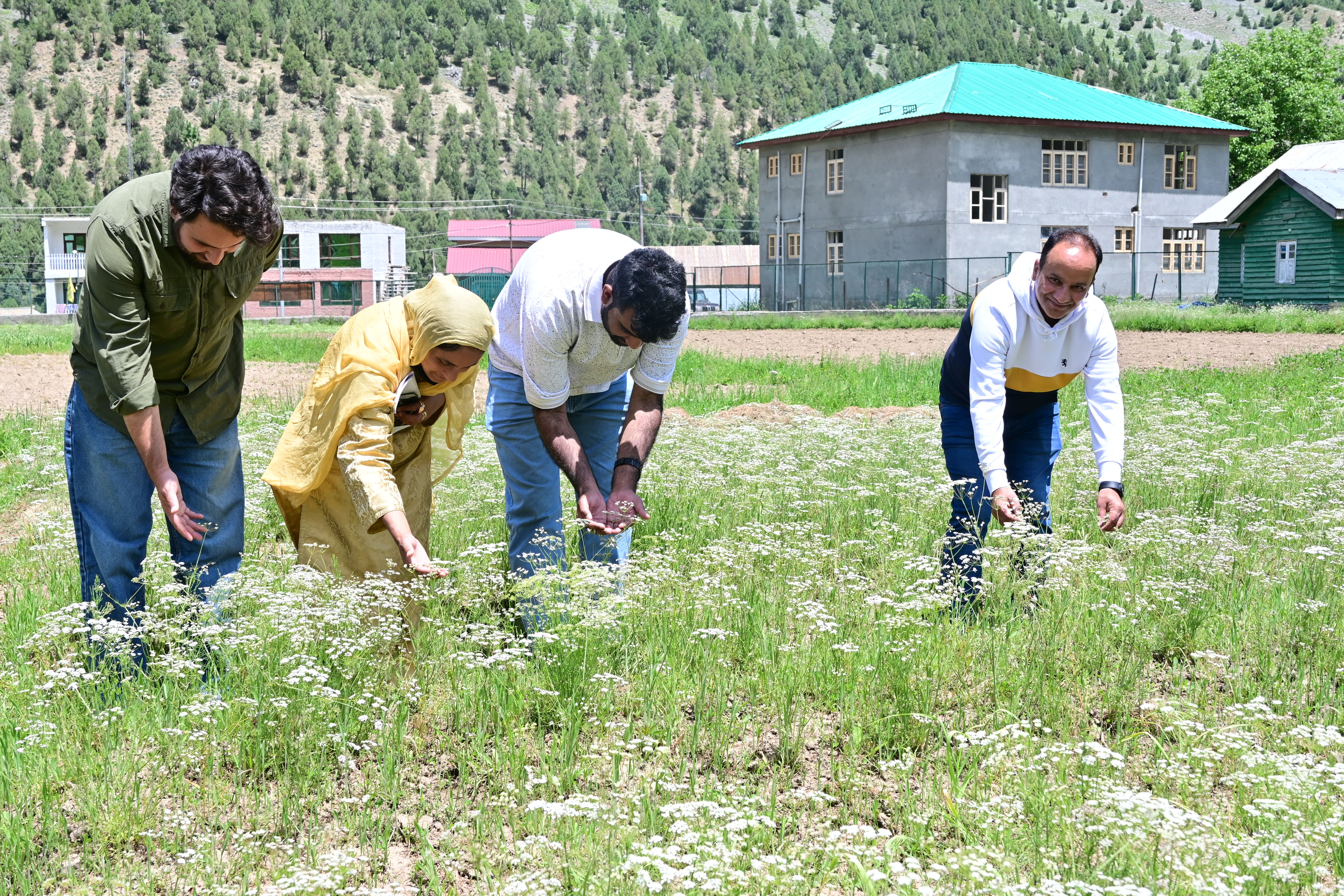 Revival and domestication of Kalazeera